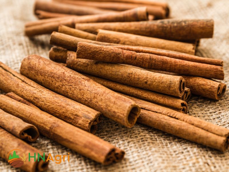 hanoi-cinnamon-products-a-high-quality-spices-from-vietnam-1