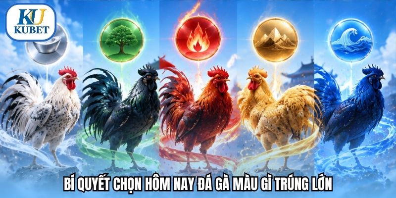 Bí quyết chọn hôm nay đá gà màu gì trúng lớn