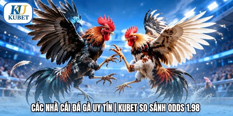Các Nhà Cái Đá Gà Uy Tín | Kubet So Sánh Odds 1.98 