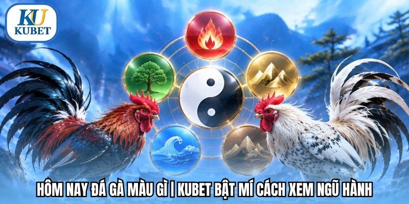 Hôm Nay Đá Gà Màu Gì | Kubet Bật Mí Cách Xem Ngũ Hành