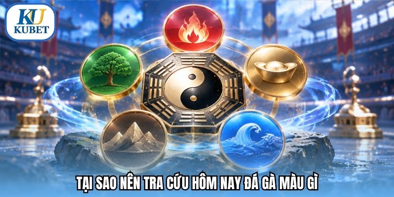 Tại sao nên tra cứu hôm nay đá gà màu gì